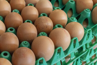 More might need to be done to help hard-pressed producers. Photo: Koos Groenewold