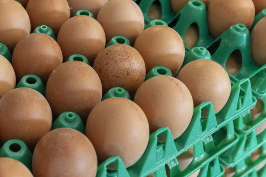 More might need to be done to help hard-pressed producers. Photo: Koos Groenewold