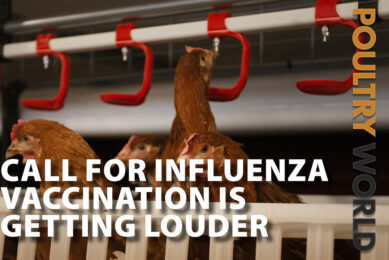 Introducing the latest online edition of Poultry World