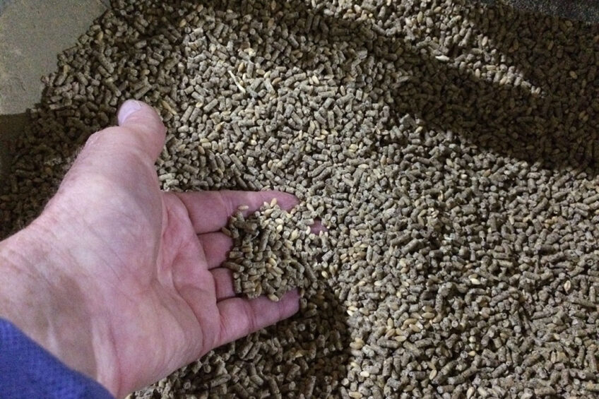 Feed formulation adjustments can assist broiler performance in cold weather, but this is not as powerful as providing good heat and air. Photo: Cobb