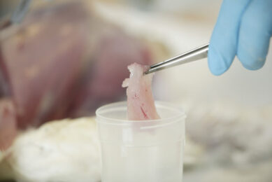 Traditional methods used to evaluate meat freshness include sensory evaluations, as well as chemical and microbiological measurements. Photo: Jan Willem Schouten