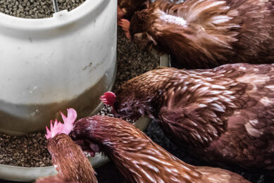 The CMA announced in December that the proposed deal could lead to farmers paying higher prices for poultry feed. Photo: Arisa Chattasa