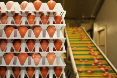 Producers and processors have been warning supermarkets of the impending shortages. Photo: Hank Riswick