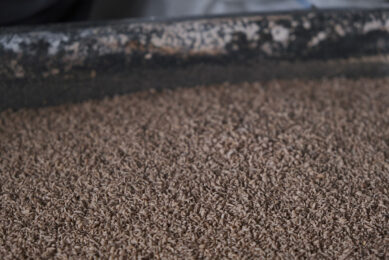 Insect production from poultry manure can be increased through adding starch, enhancing growing conditions and selective breeding. Photo: James Tiono