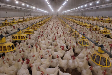 Modern farms rely heavily on automation. Getting it right made Sam Hwa Korea's top producer. Photo: Roxell