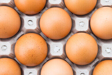Russia has become almost entirely self-sufficient in food eggs. Photo: Mrsiraphol