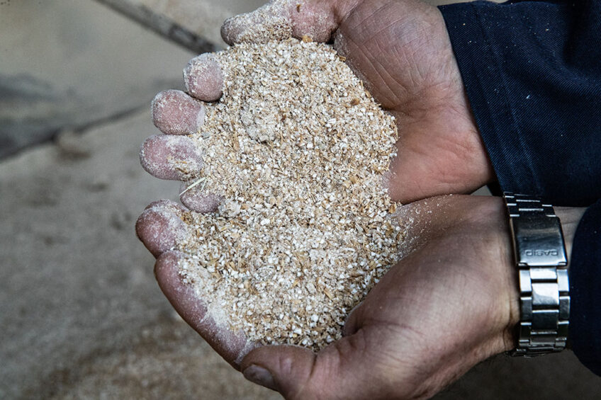 Feeding larger particle size soybean meal increased gizzard size which improved growth performance and also enhanced the availability and digestibility of phosphorus.