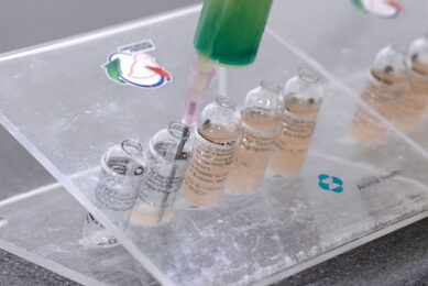 The vaccines have been tested under controlled conditions at Wageningen Bioveterinary Research in Lelystad. The next step will now be to investigate whether the vaccines are just as effective under commercial conditions. Photo: Ruud Ploeg