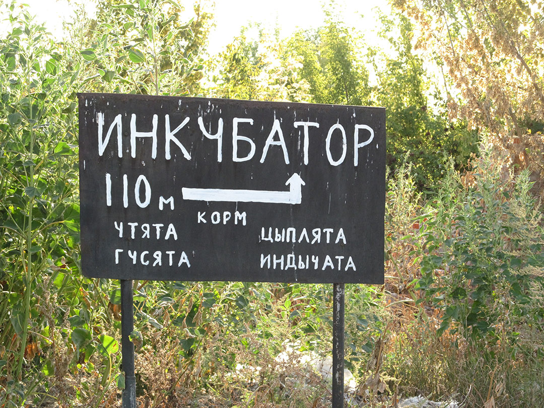 Russia is hatching its own broilers and turkeys (as stated on the sign), but still struggles to do without imported genetics. Photo: Taranivka Hatchery