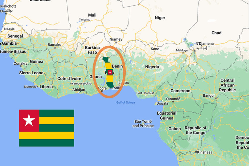 Seminar to maximise poultry performance in Africa