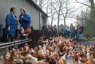 The bigger picture: Research highlights humans in the spread of bird flu