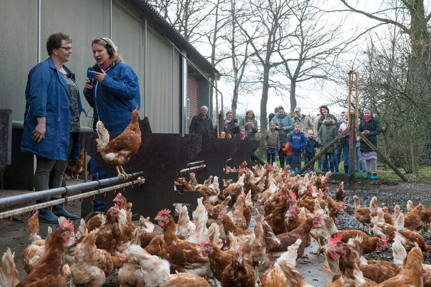 The bigger picture: Research highlights humans in the spread of bird flu