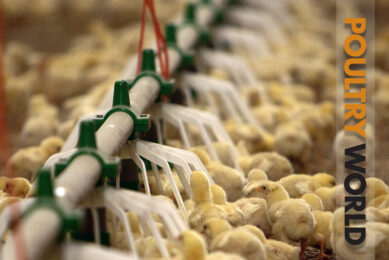 Introducing the latest edition of Poultry World