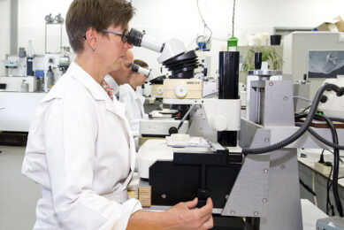 Three proof of concept trials were carried out and conclusively demonstrated that the product dramatically reduced populations of Salmonella bacteria in poultry. Photo: Ruud Ploeg