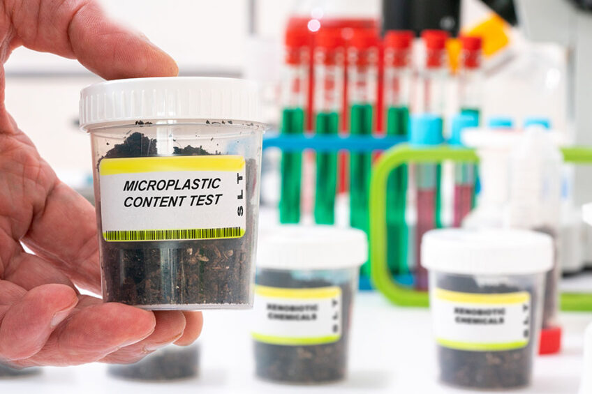 Microplastics are found in water and in soil. In broiler chickens they impair growth performance and disturb gut microbial homeostasis and metabolism.