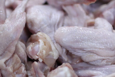 An appeal of the Polish poultry industry underlines that a proposed ban on Ukraine to Poland imports of poultry products would not make much sense as long as the Ukrainian products could land in other EU countries. Photo: Eko Anug