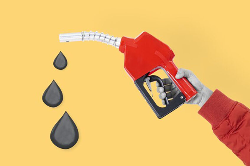 The supply of animal fat in biodiesel has grown fortyfold since 2006. Photo: Raw pixel
