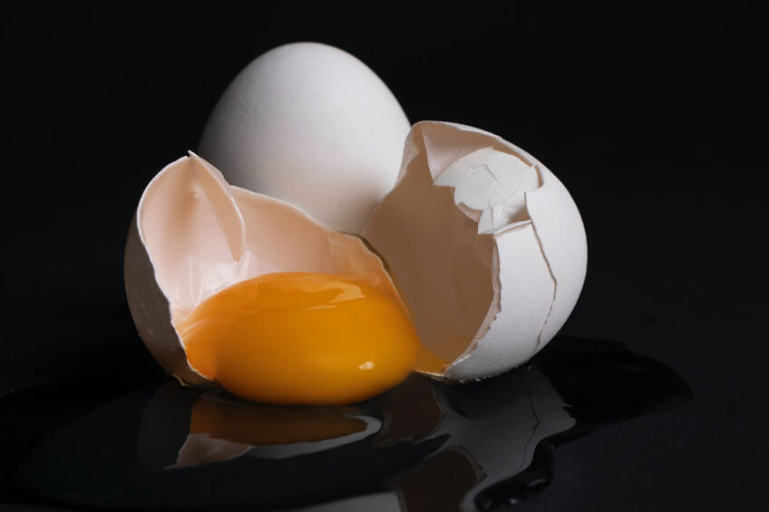 Australian egg farmers agree that traceability is mission-critical for the egg industry, according to Australian Eggs. Photo: Jasmin Egger