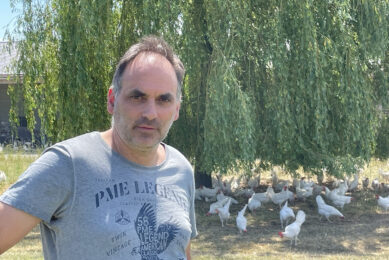 As a layer farmer himself, GalloSuisse chair Daniel Würgler knows that the sector is facing turbulent times, but in the long term, the outlook is good. Photos: Robert Bodde