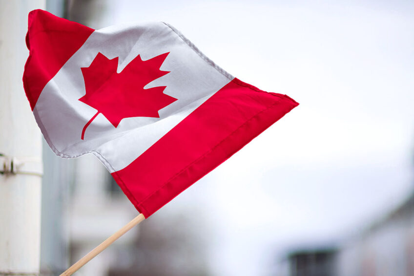 It is believed that the new Bill would strengthen and protect Canada’s system of supply management and present the opportunity to champion growth within Canada’s agricultural sector. Photo: Freepik