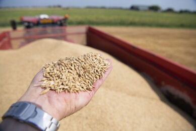 Since last year's harvest, Ukraine exported 32 million tonnes through the Black Sea, which is half of what we normally export, due to the war, says a Dutch farmer operating a 15,000-ha farm in Ukraine. Photo: Mark Pasveer
