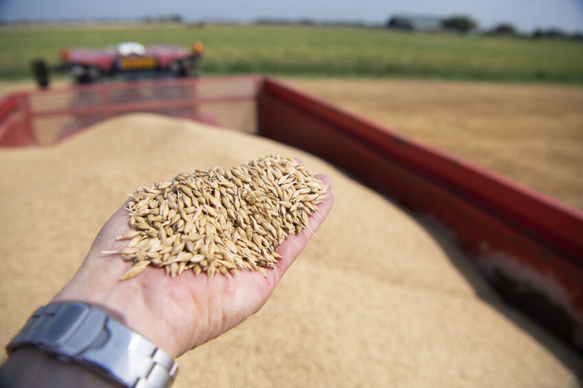 Since last year's harvest, Ukraine exported 32 million tonnes through the Black Sea, which is half of what we normally export, due to the war, says a Dutch farmer operating a 15,000-ha farm in Ukraine. Photo: Mark Pasveer