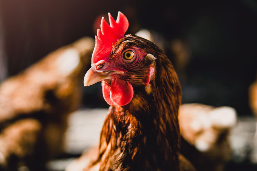 Dr Lloyd Glanville, BACB Renewables MD: "Integrated farming technology provides huge potential for farmers..." Photo: Canva
