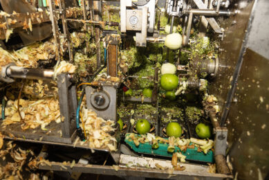 Apple waste has high concentrations of carbohydrates, minerals and dietary fibre, as well as other beneficial phytochemicals. Photo: Peter Roek