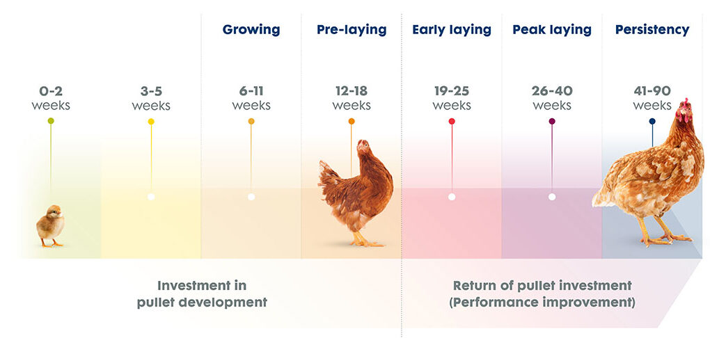 Source: Trouw Nutrition