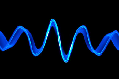 Researchers are looking into the link between sound waves and layer gene expression in an effort to achieve more female chicks in place of males. Photo: Canva