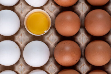 Zn, Cu and Mn are the 3 most crucial trace minerals in developing a resilient egg structure. Photo: Canva