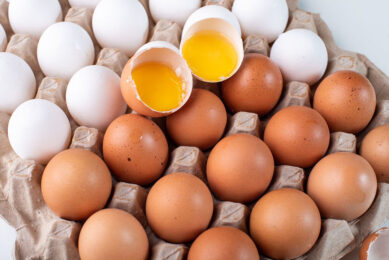 Last year saw over 100 countries across the globe celebrate World Egg Day. Photo: Canva