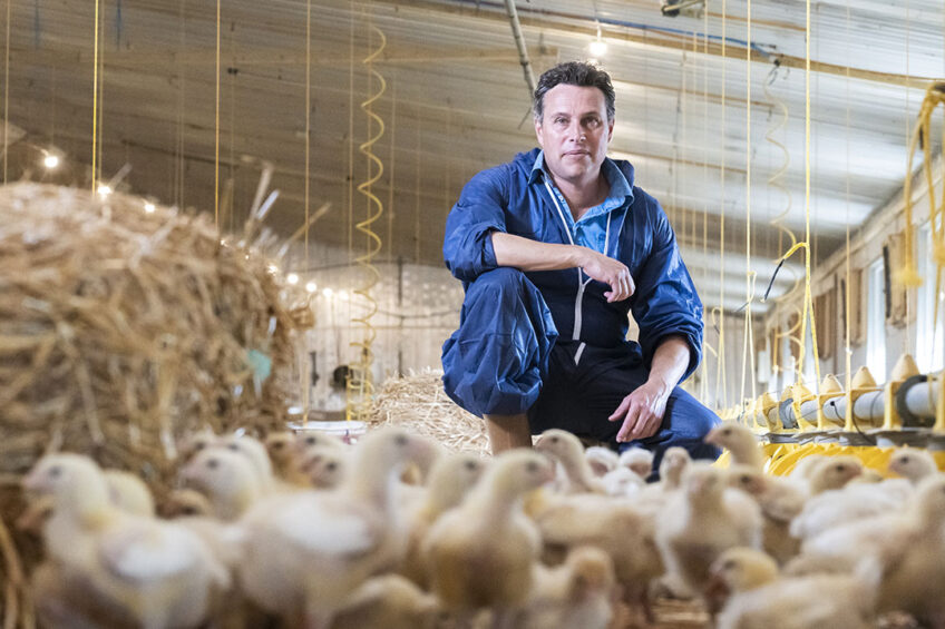 Jeremy Iles gains a huge amount of satisfaction from managing his Hubbard chickens. “They are a pleasure to walk through and you are proud to show them off at the end." Photo: NFU