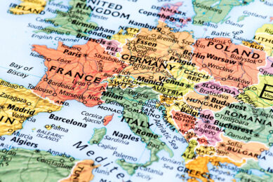 It is estimated that the opening of the European market for Serbian poultry farmers would nearly double Serbian poultry production. Photo: Canva