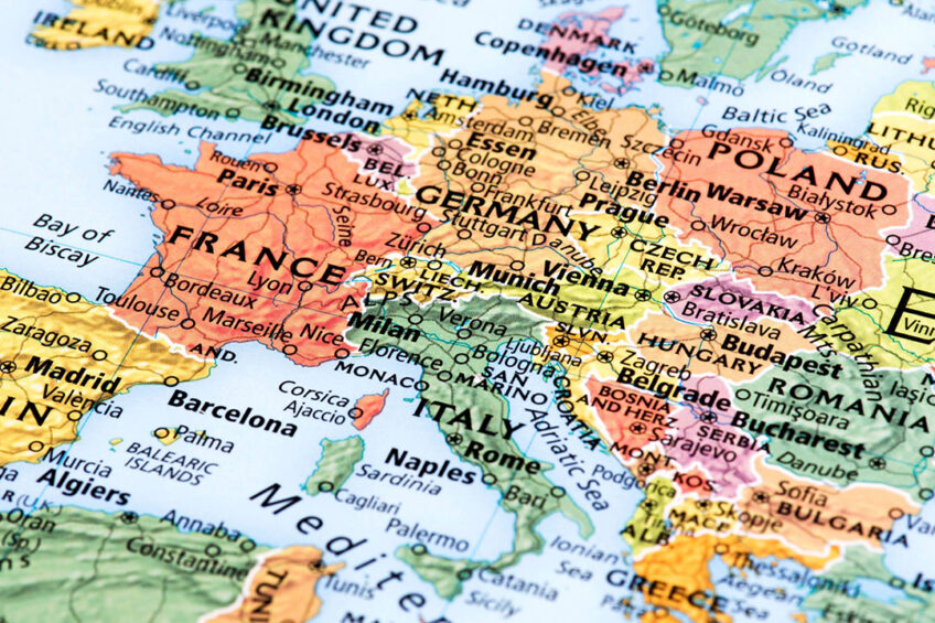 It is estimated that the opening of the European market for Serbian poultry farmers would nearly double Serbian poultry production. Photo: Canva