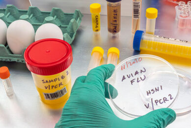 Preliminary investigations revealed specific immunity to H5N1 showing exposure and recovery in a proportion of birds. Photo: Canva