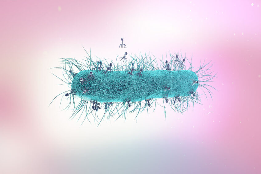 In light of the present challenges, it's logical to lean into nature-inspired solutions to tackle Salmonella, and bacteriophages are the bacterial nemesis. Photo: Shutterstock