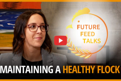 VIDEO: Strategies for maintaining a healthy flock