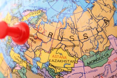 While authorities in Russia insist that poultry is in sufficient supply in the country, some retailers and farmers acknowledge the problem. Photo: Canva