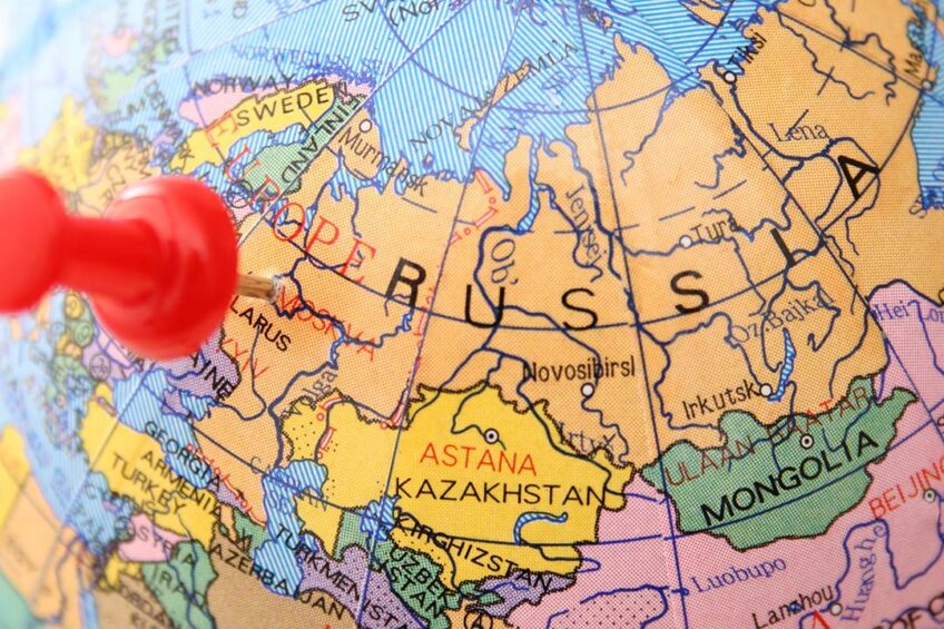 While authorities in Russia insist that poultry is in sufficient supply in the country, some retailers and farmers acknowledge the problem. Photo: Canva