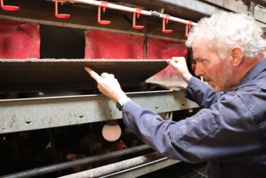 Jacco Korenblik: "The U-tubes of the aviary system are a favourite hiding spot for the red mites." Photos: Dick van Doorn