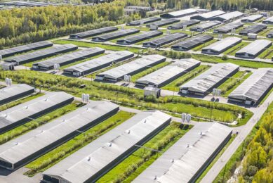Russian authorities have published a draft decree under which the compartmentalisation system will be put in place on 1 March 2025. Photo: Canva