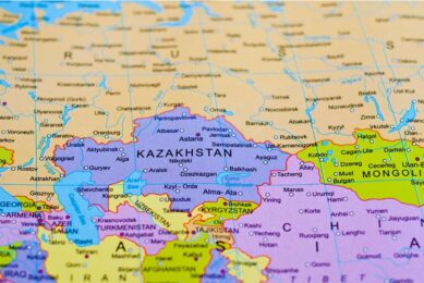"China is very promising for Kazakh businesses, though it is difficult to compete in this market," says Kairat Maishev, president of the Kazakh union of egg manufacturers. Photo: Canva