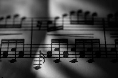 Researchers investigated the effects of classical music on broilers under different stocking densities. Photo: Canva