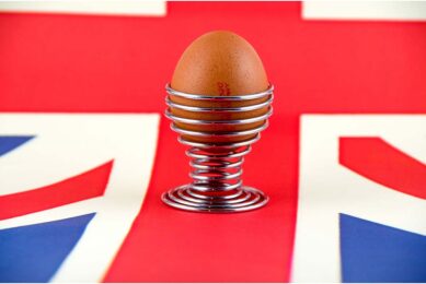 A significant rise in the cost of production and the ongoing risk of avian influenza are major concerns for the UK poultry sector. Photo: Canva