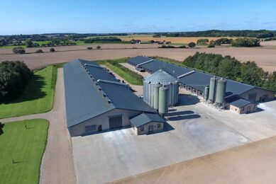 The Williamsborg farm was converted from pigs to broilers in 2015, making it a modern, up-to-date operation.