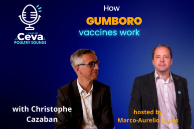 Podcast: How Gumboro vaccines work