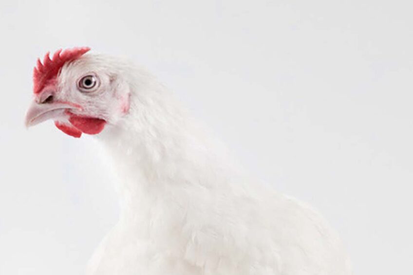 Photo: Ceva Sante Animale