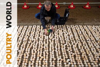 Market trends in the latest edition of Poultry World
