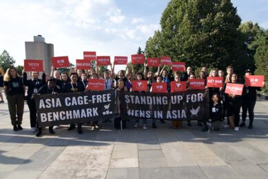 Advocates raise banners at the OWA Global Summit. Photo: Open Wing Alliance